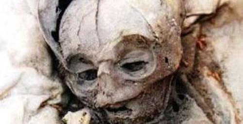 اسکلت 68 کودک در دیوار‌های ارگ بم کشف شد