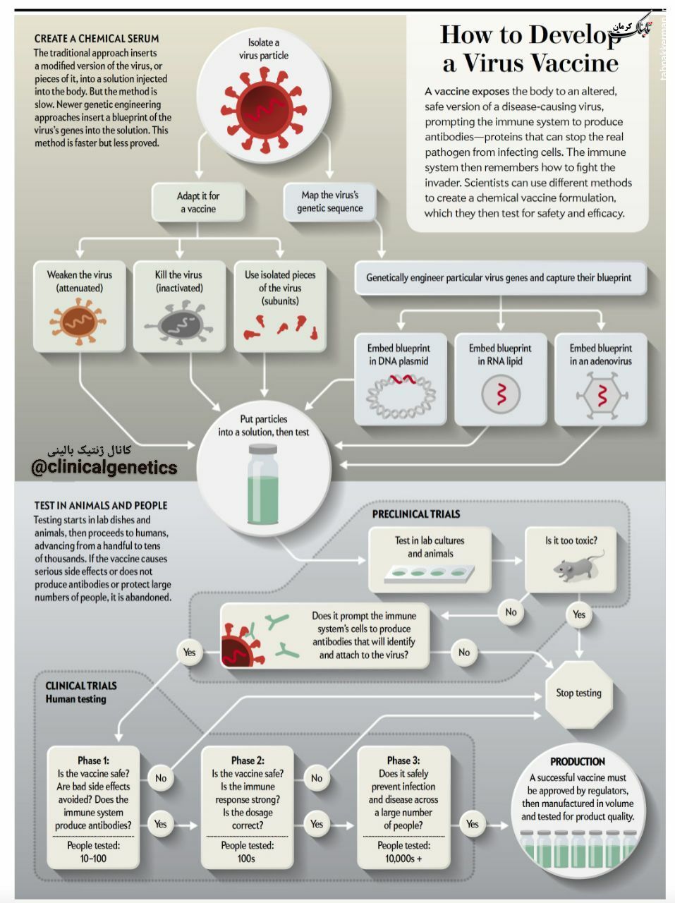 روش‌های مختلف  ساخت واکسن بر علیه ویروس ها