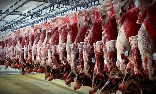 قیمت گوشت قرمز کاهش می&zwnj;یابد؟