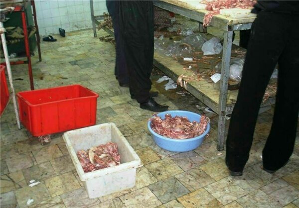 گوشت چرخ کرده آماده از قصابی نخرید گوشت چرخ کرده آماده از قصابی نخرید