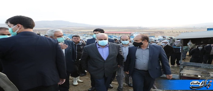 قیمت گوشت قرمز در بازار کاهش خواهد یافت/ نظارت و کنترل جدی در حوزه قیمت گذاری ا&zwnj;دامه دارد