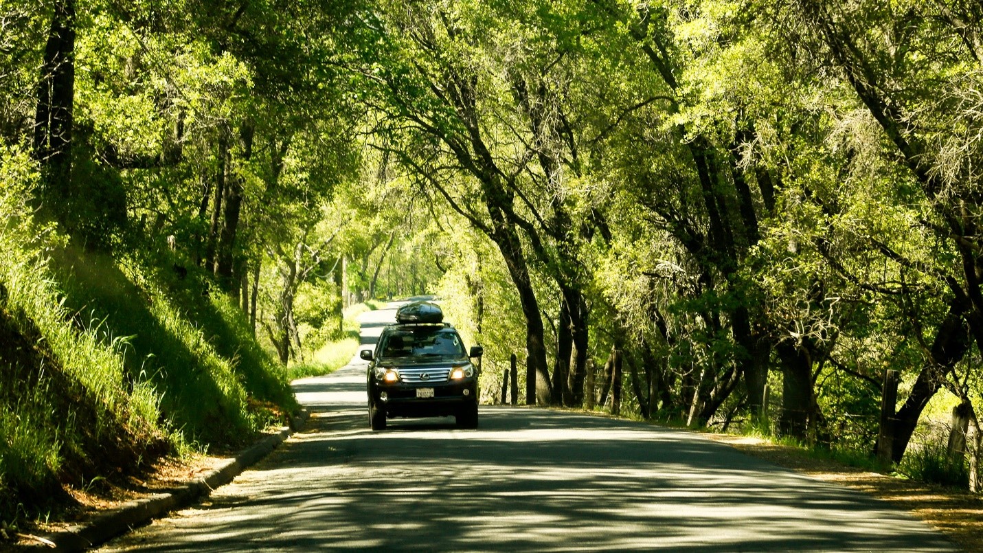 راهنمای اولین سفر کیش