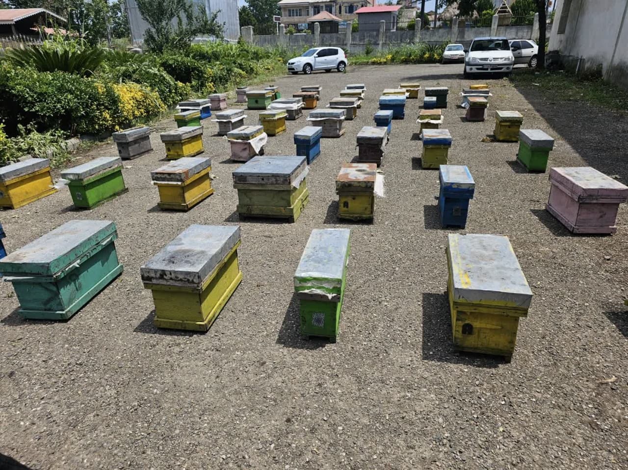 برگزاری کلاس آموزشی زنبورداری باحضورمدیرکل جهادکشاورزی دراطاقور لنگرود