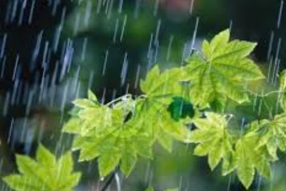 اولین باران پاییزی، آغاز نوای خنک پاییز + فیلم اولین باران پاییزی، آغاز نوای خنک پاییز + فیلم