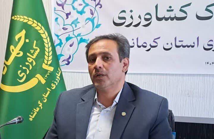 تدابیر ویژه برای تامین کالاهای اساسی در کرمانشاه تدابیر ویژه برای تامین کالاهای اساسی در کرمانشاه