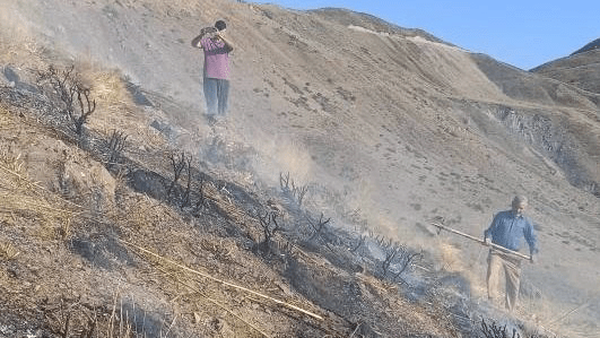 آتش سوزی در الموت غربی مهار شد